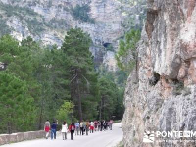 Parque Natural Nacimiento del Río Mundo; laguna negra soria; excursiones